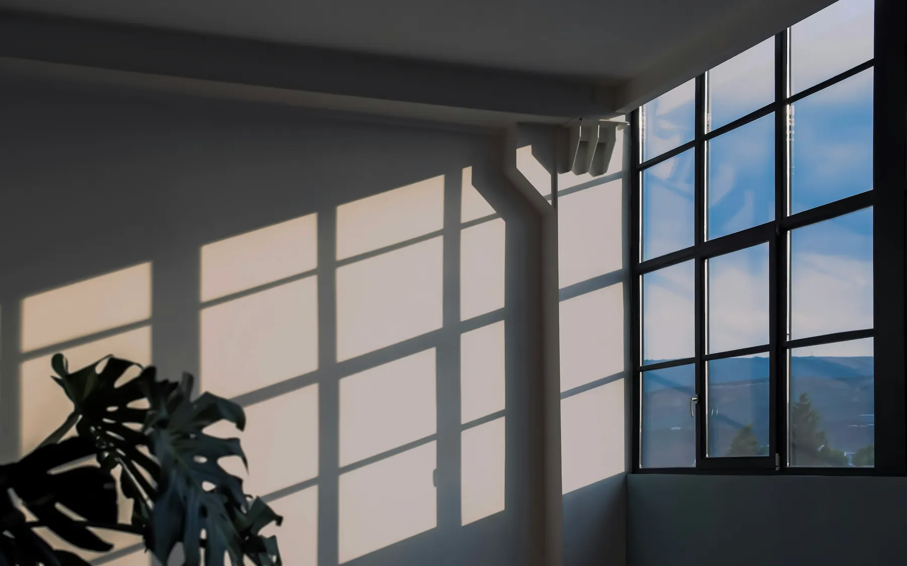 Window light falling in a grid across a pale interior wall