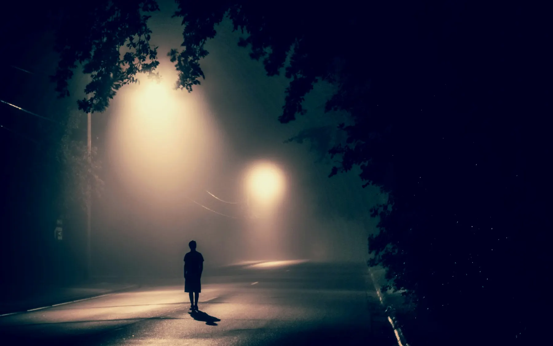A figure walking into fog under a streetlight at night